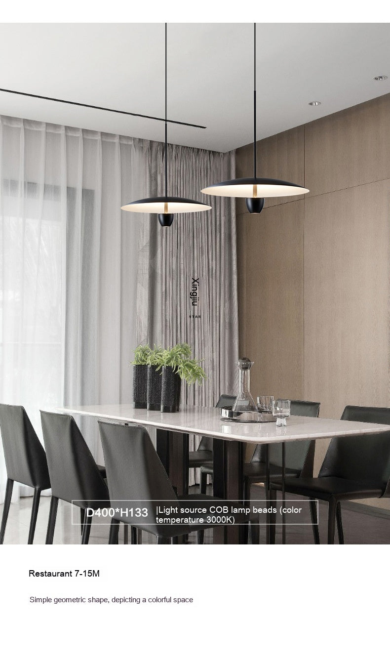Aero Arc Pendant Light