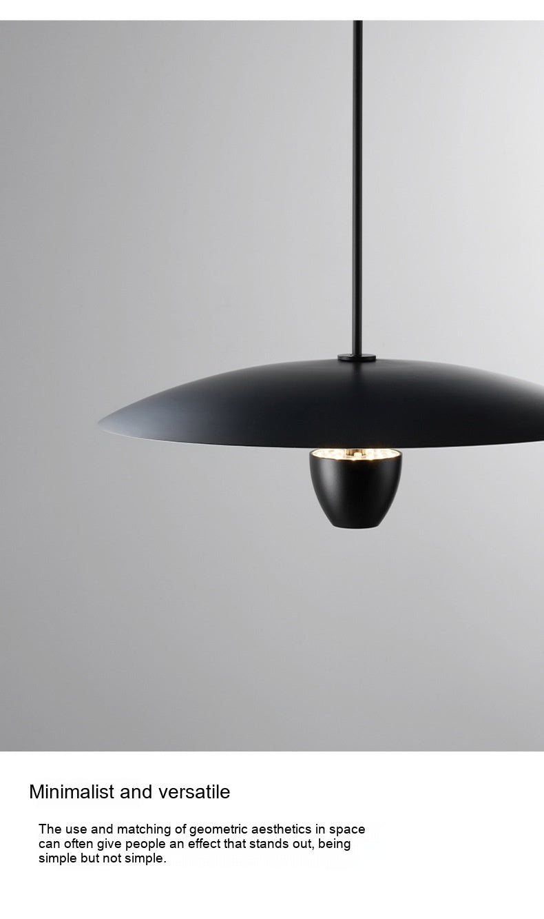 Aero Arc Pendant Light