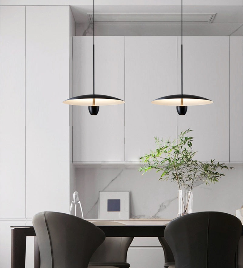 Aero Arc Pendant Light