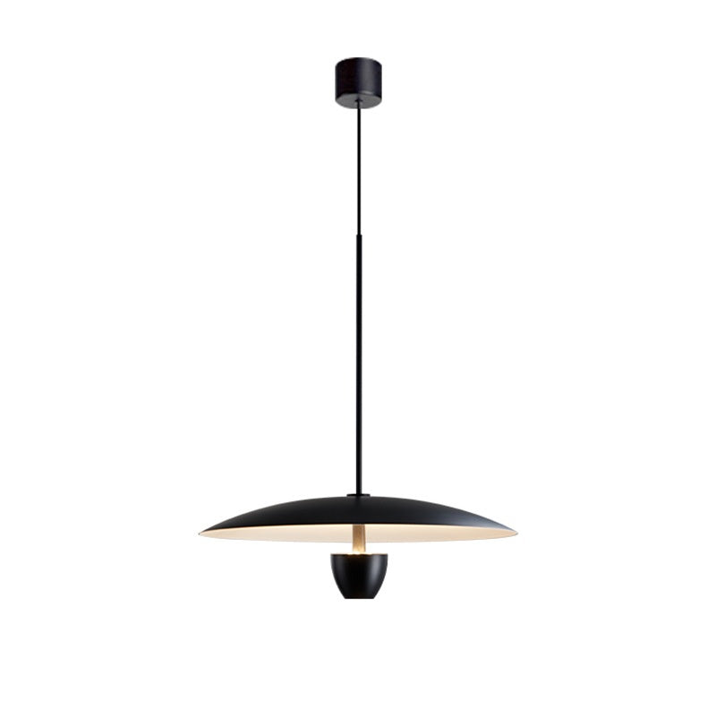Aero Arc Pendant Light